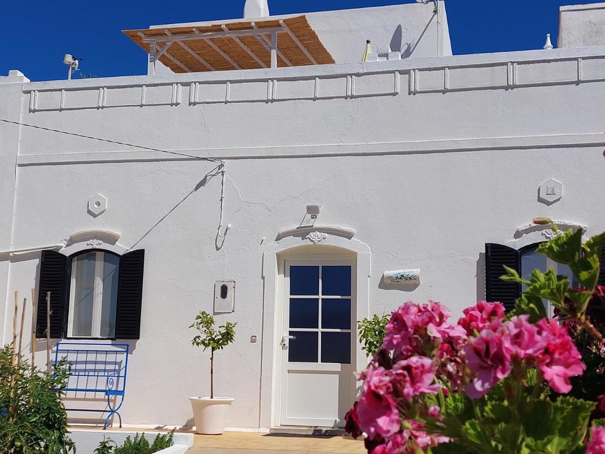 "Oliveiras" Appartement Typique Avec Terrasse Et Piscine Loulé Eksteriør bilde
